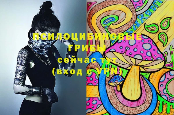 apvp Армянск